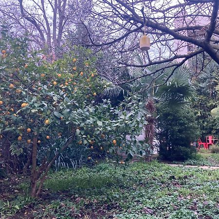 Un Jardin En Ville Τουλούζη Εξωτερικό φωτογραφία