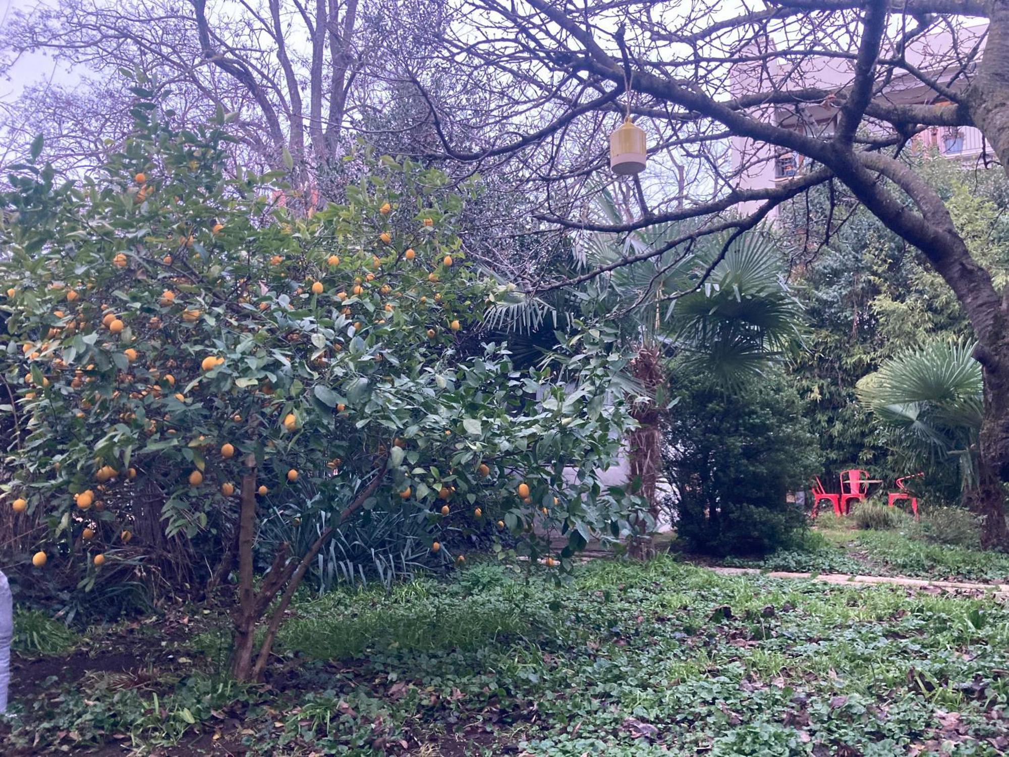 Un Jardin En Ville Τουλούζη Εξωτερικό φωτογραφία